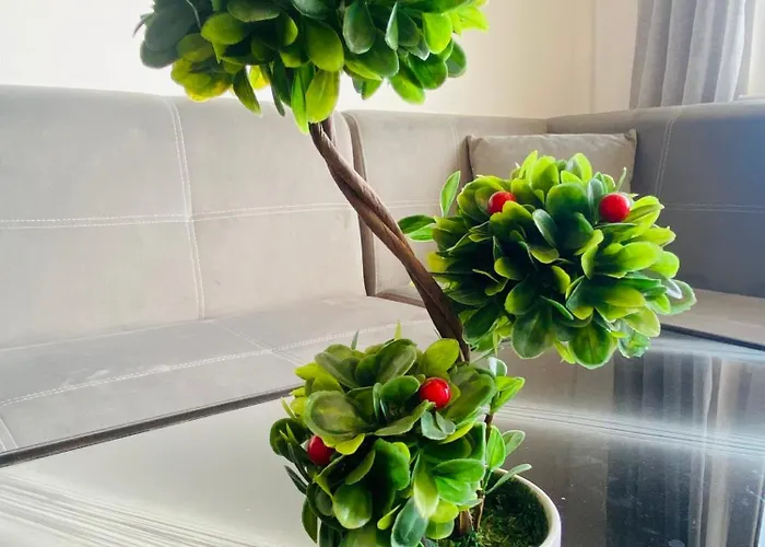 Daire 1 Bedroom Ap Seaview Peace And Quiet *