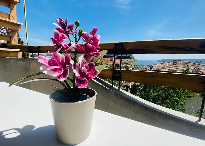 1 Bedroom Ap Seaview Peace And Quiet